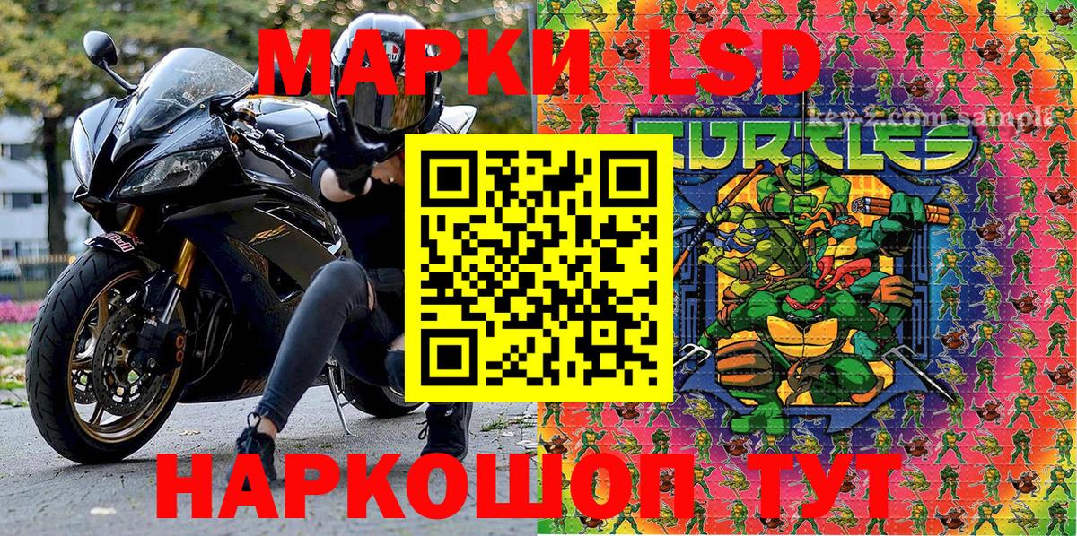 Сокол  Наркотические марки  Наркотические марки 1,8мг  Вход с VPN  Наркотические марки 1,8мг 