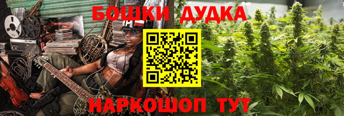 Бошки Шишки план Сокол